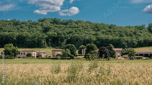 small village in the french countryside, with forest at background, 