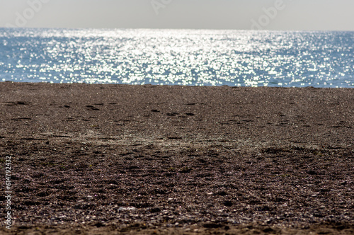 Sea waves on a sand beach
