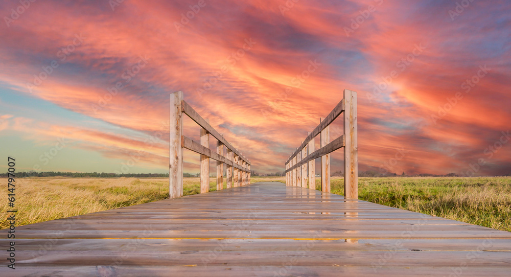 Fototapeta premium Bridge on the north sea in germany