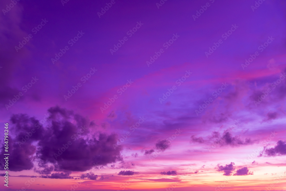 Fototapeta premium Trend color background