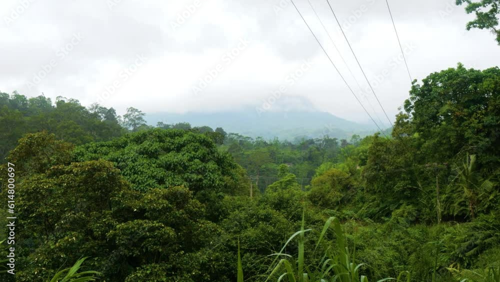 View of the misty Sinharaja Forest Reserve. Sri Lanka. UNESCO. Distant view. View of the misty Sinharaja Forest Reserve. Sri Lanka. UNESCO. Distant view.