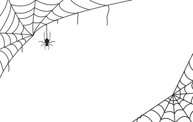 Spider web black with transparent background