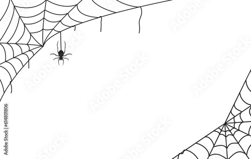 Leinwand Poster Spider web black with transparent background