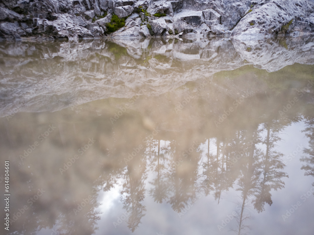river in the forest