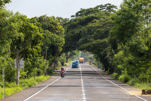 road in Philippines with a trees tunnel