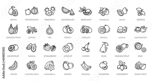 Fruit Healthy eating Thin Line Pack. Vector icons