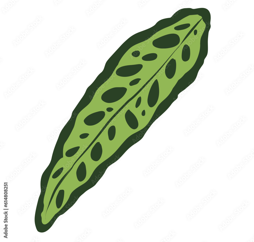 leaf isolated on white. Tropical leaves clipart vector leaf isolated on white. Tropical leaves clipart vector