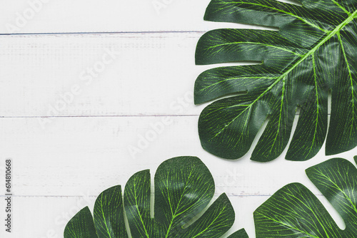 Green palm leaf on white ta...