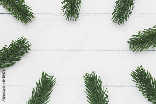 Fir tree branches on white ...