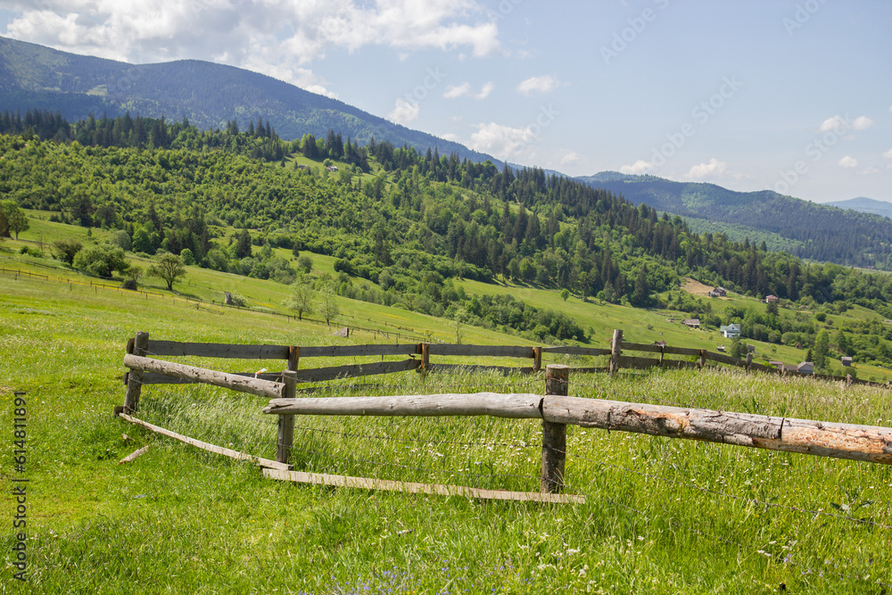 landscape with fence