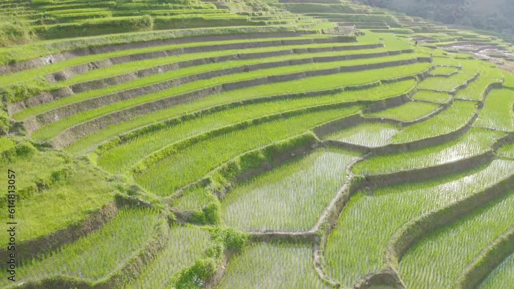 Aerial top view of fresh paddy rice terraces, green agricultural fields in countryside or rural area of Mu Cang Chai, mountain hills valley in Asia, Vietnam. Nature landscape background. Aerial top view of fresh paddy rice terraces, green agricultural fields in countryside or rural area of Mu Cang Chai, mountain hills valley in Asia, Vietnam. Nature landscape background.