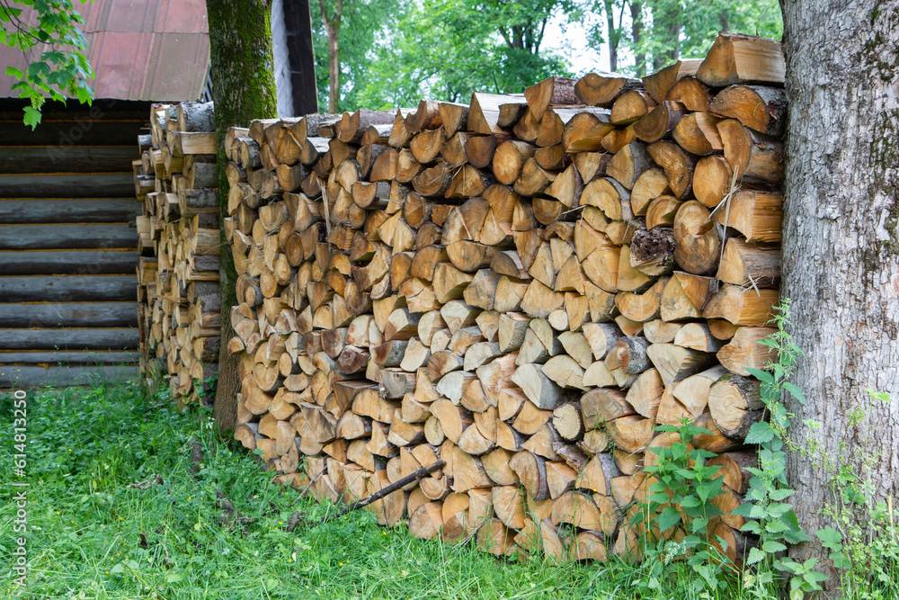 wall of firewood between trees in the village