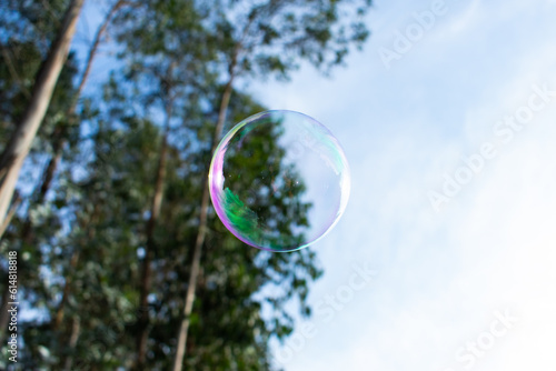 Bubble against trees