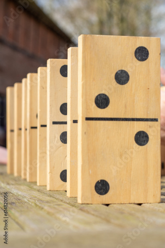 Large Dominoes