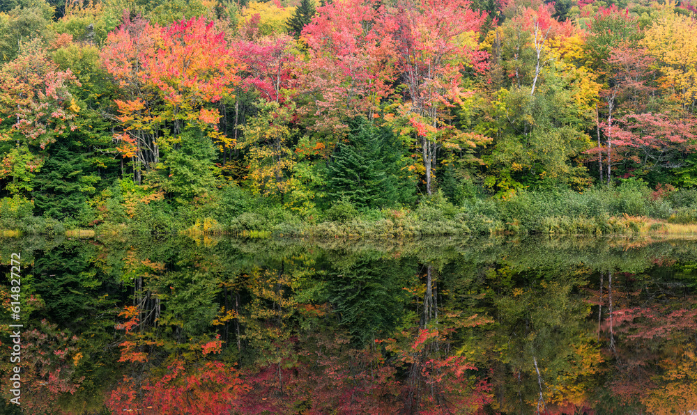 Beautiful fall leaves in autumn on a Maine scenic drive near Rangeley Lake