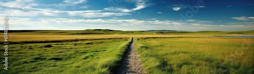 A concrete path cuts through a vast field of lush green grass