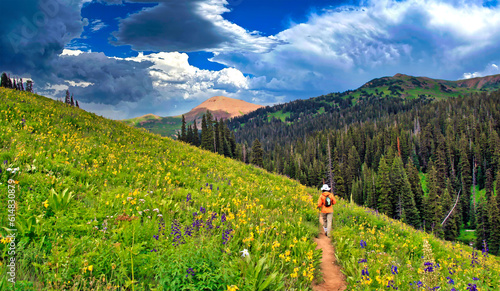Hiker walks through a field of wildflowers along the West Maroon Trail near Crested Butte, Colorado photo