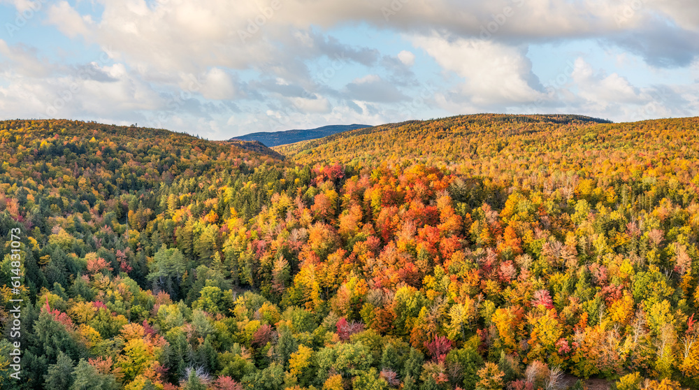 Panorama of beautiful autumn fall foliage colors in western Maine - New England