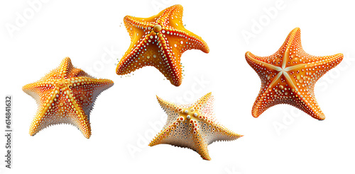 Star fish on transparent background, generative ai