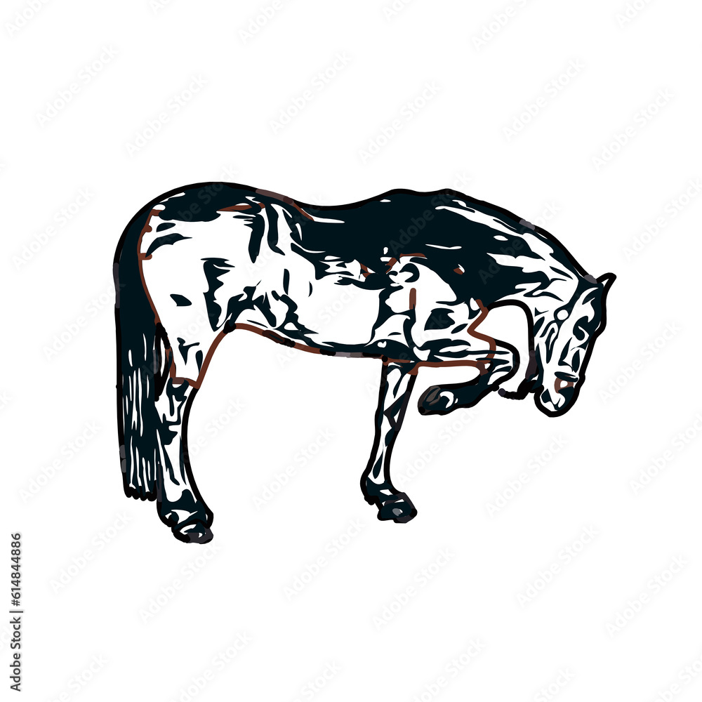 Obraz premium Color sketch of a horse with transparent background