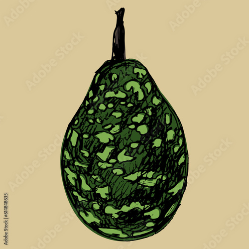 Bottle Gourd Speckled Bottle. Lagenaria siceraria. Green calabash Opo squash. Hand drawn rough sketch. 