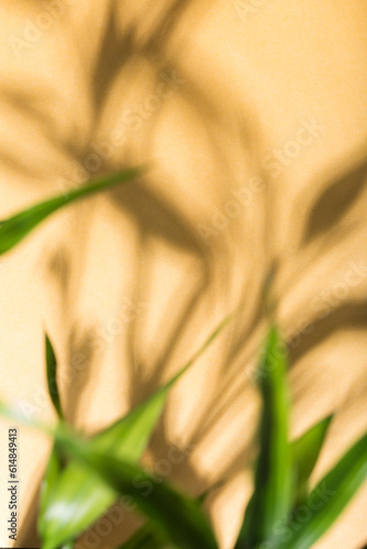 Nature s Golden Hour  Blurred Botanical Shadows on a Yellow Background