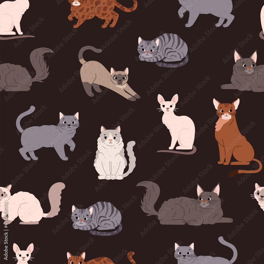 Seamless vector pattern of flat sitting or lying cute cartoon cats, British shorthair, Cornish rex, Burmese cat and other exotic breeds