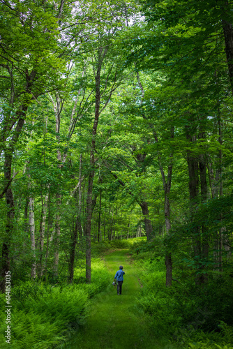 Woman hiking in the woods
