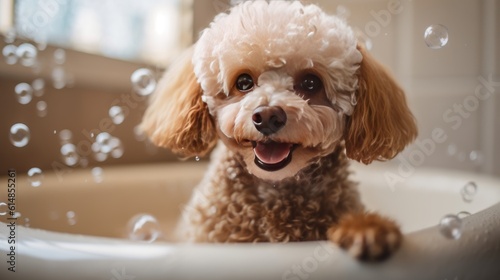 happy dog in a bubble bath, generative ai © carballo