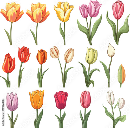 Big set of multicolored tulips. Spring realistic flowers.Easy to edit and customize for your design  patterns  cards banners posters.Generative AI illustration.