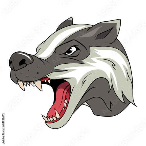 Badger. Vector illustration of a wild animal. Angry brock