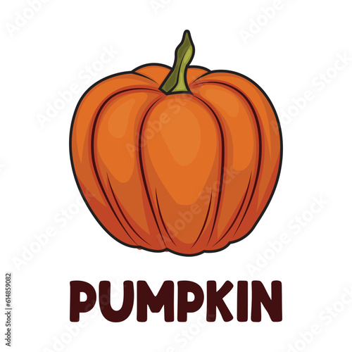 Pumpkin vegetable icon vector illustration