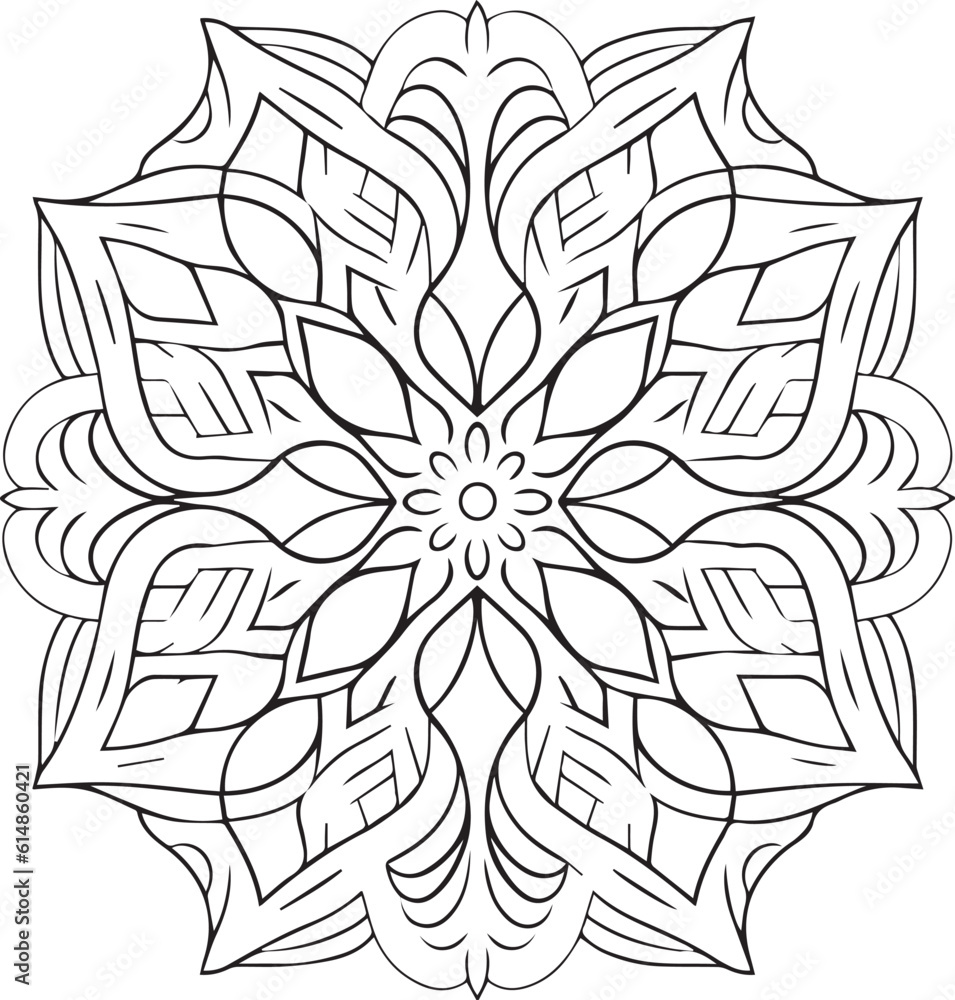 Fototapeta premium black and white spider