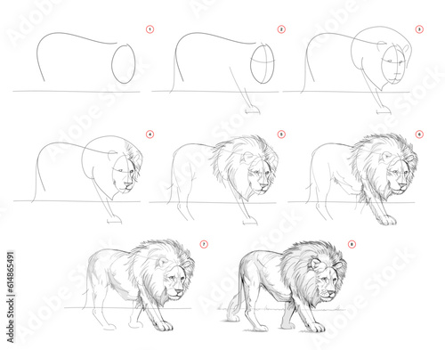 Page shows how to learn to draw from life sketch a standing lion. Pencil drawing lessons. Educational page for artists. Textbook for developing artistic skills. Online education. Vector illustration.