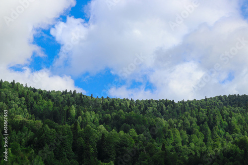 clouds over mountain forest