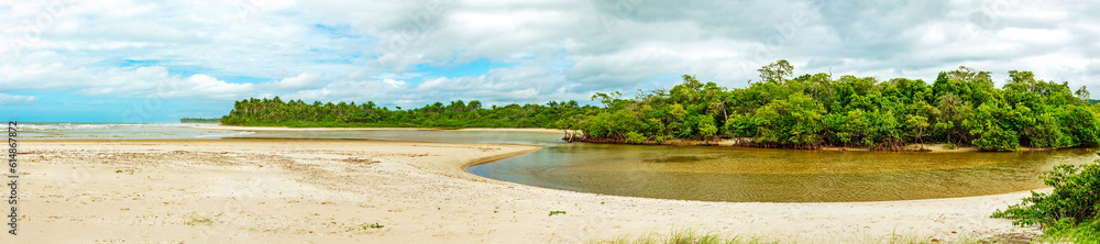 Winding river through forest and mangroves towards the sea at Sargi beach in Serra Grande coast of Bahia state