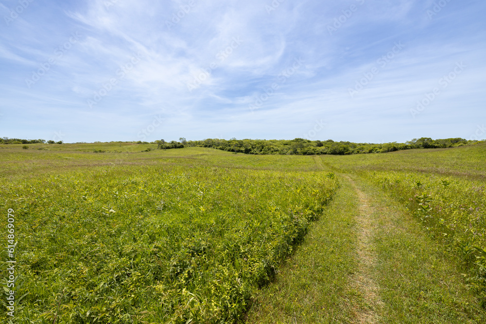 A Greenway path through a field and meadow in the rolling hills of Block Island, Rhode Island, USA