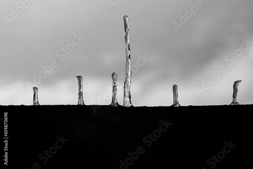 icicles against the sky