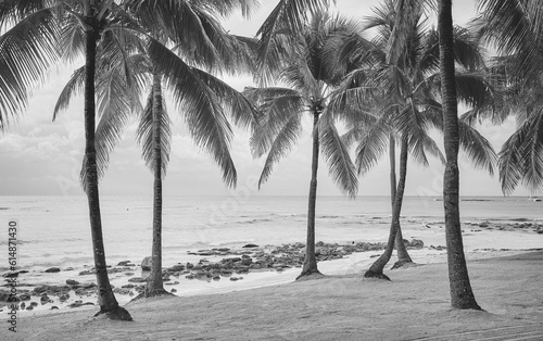 Black and white photo of a tropical beach, summer vacation concept, Mexico.