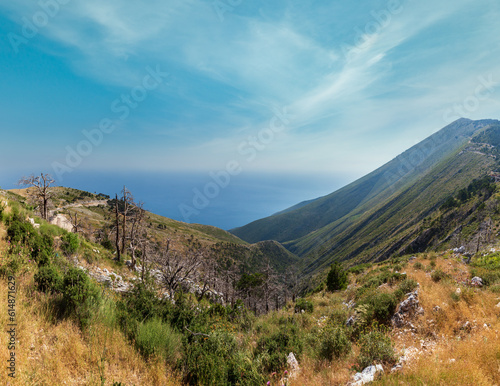 Summer Llogara pass view with dry trees and thistle on slope (Albania)