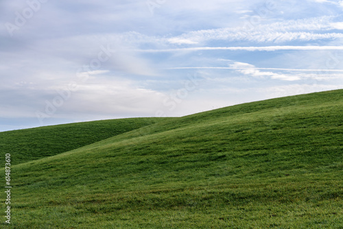 green field and blue sky