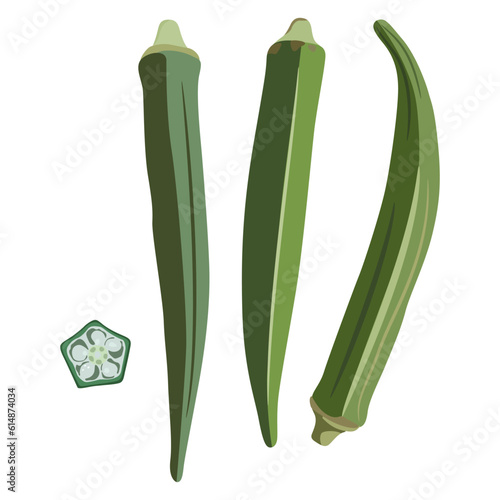 Three green ripe pods or fruits of okra and one cut slice. Abelmoschus esculentus. Isolated vector illustration.