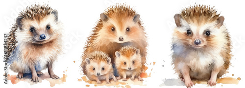 Collection of three watercolour paintings of hedgehogs isolated on white background as transparent PNG, generative AI animal clipart bundle