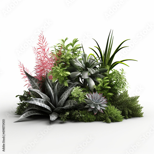 decorative plant