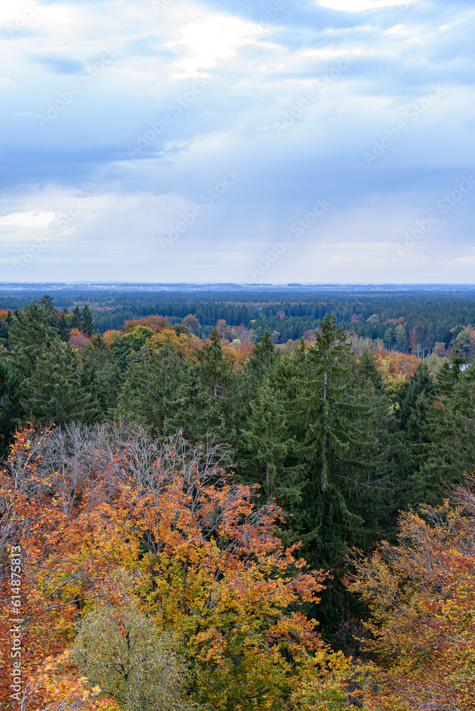 autumn landscape