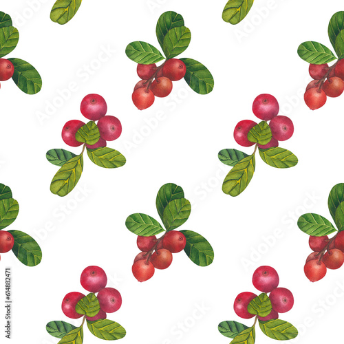 Seamless pattern with Cowberry red berries Vaccinium vitis-idaea, lingonberry, mountain cranberry. Watercolor hand drawn painting illustration isolated on white background