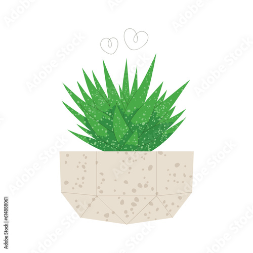 Haworthia in flowerpot. Trendy flat style illustration