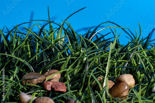 rocks and grass blue background