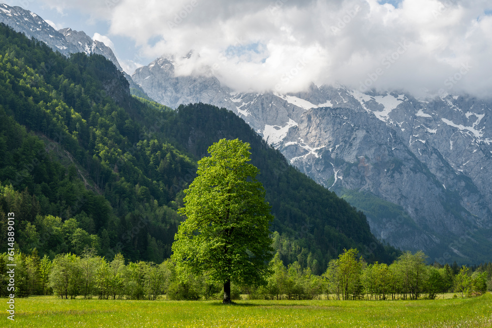Amazing, dramatic landscape of Logarska Dolina, beautiful valley surrounded by mighty Alps in mountainous region of Slovenia