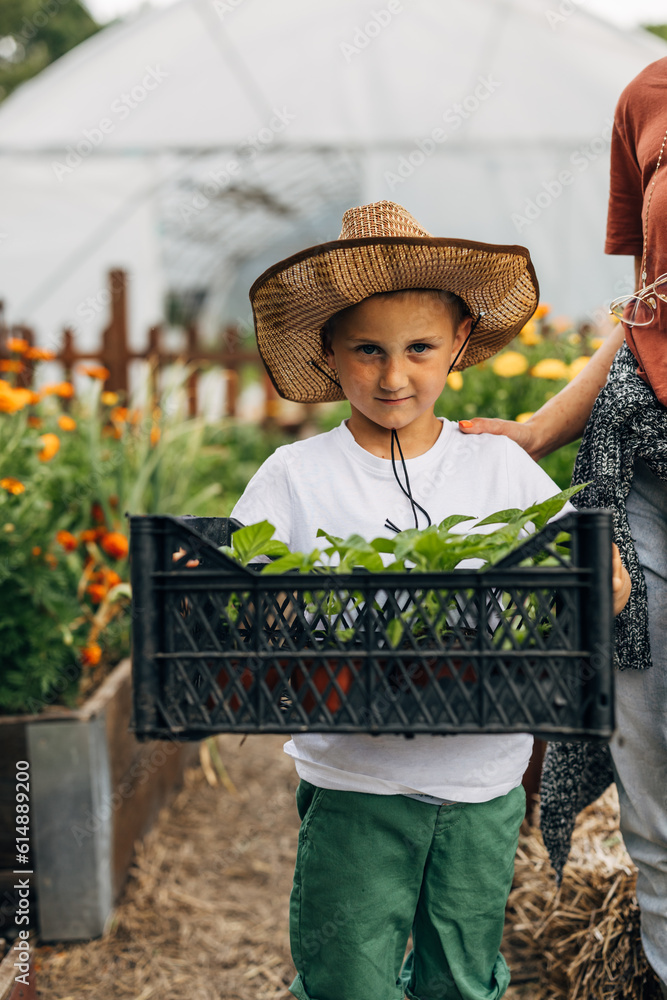 Front view of a young Caucasian boy carrying a crate with plants.